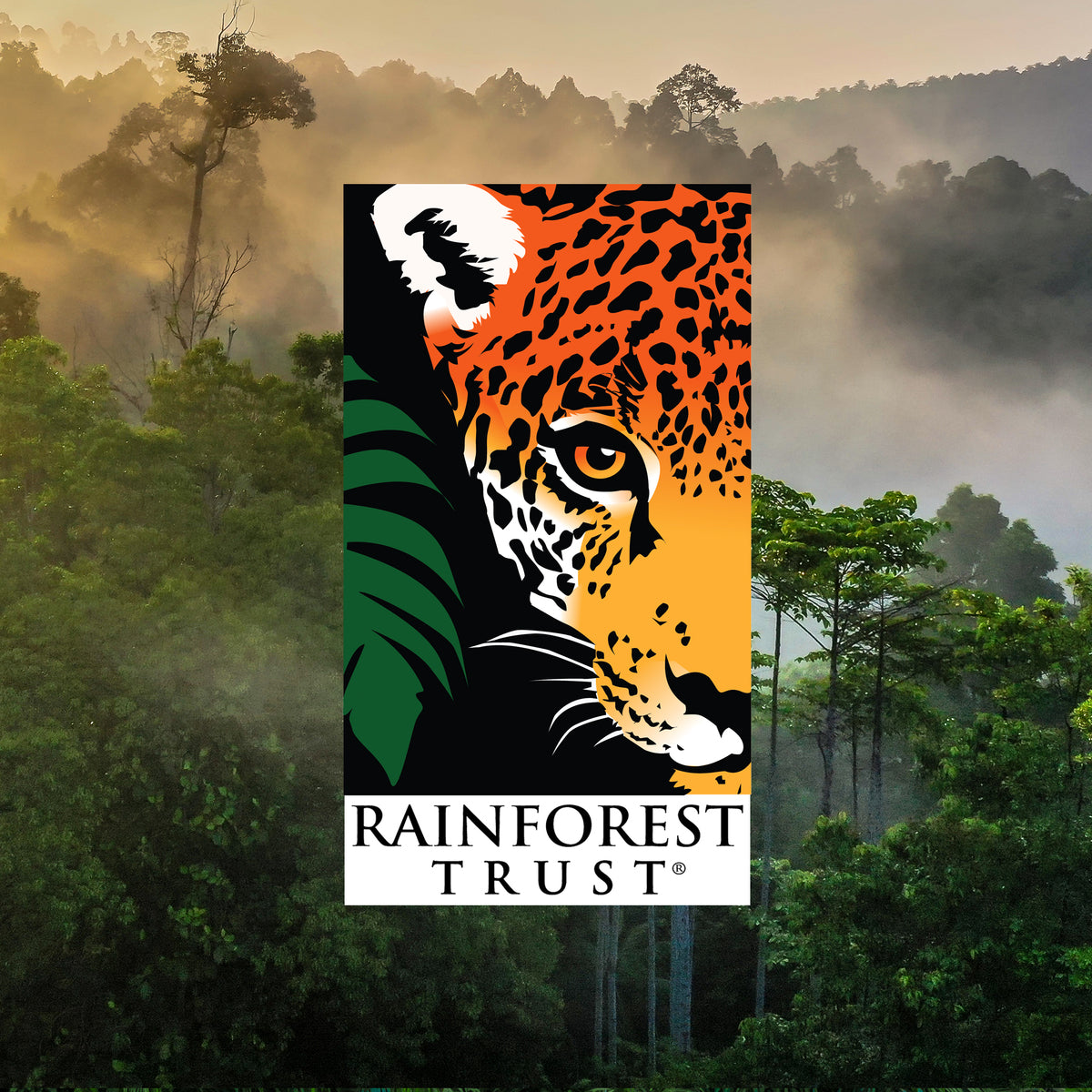 Logo of the rainforest trust