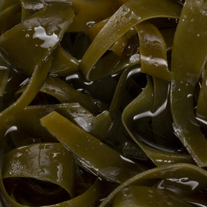 Close up image of algae